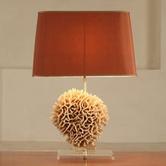 European Table Lamp with Decorative Pavona Cactus Base