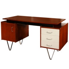 Desk Designed By Cees Braakman For Pastoe 1958
