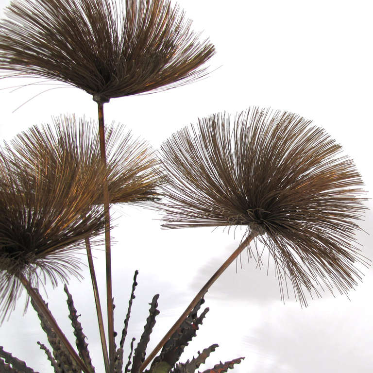 Mid-20th Century Desert Palm Tree Sculpture For Sale