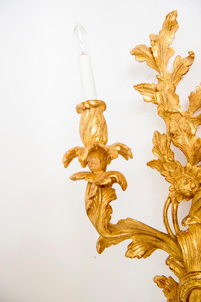 Hand-Carved Pair of Louis XV Style Gilt, Two-Light Sconces For Sale