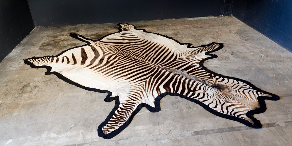 Very big & beautiful Zebra Skin Rug from south africa.

Excellent contrast of Black & White.
Lined and trimmed with black felt.

L:_ 110.2 Inch  W:_ 82,7 inch