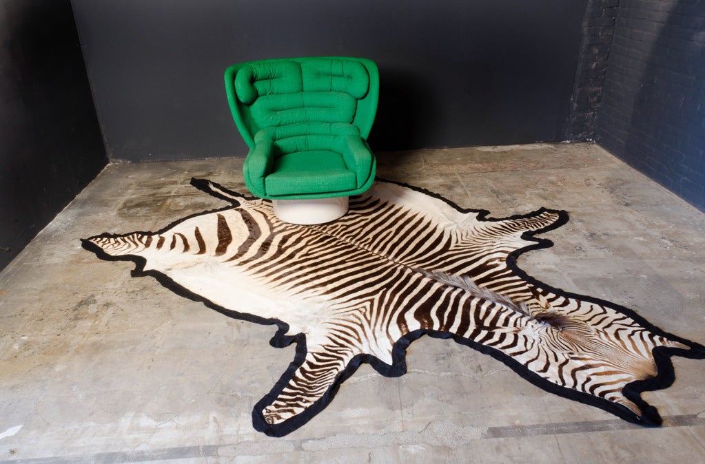African Very big & beautiful Zebra Skin Rug