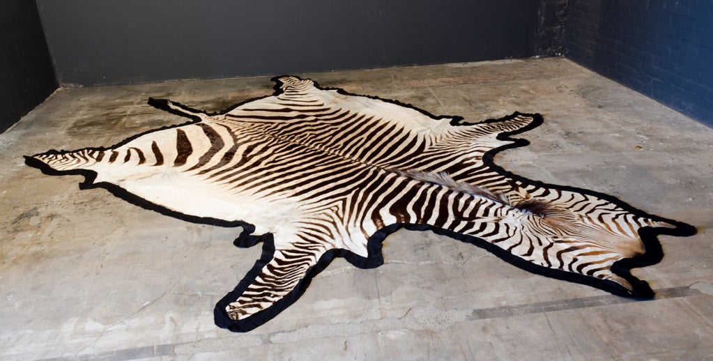 Very big & beautiful Zebra Skin Rug 2