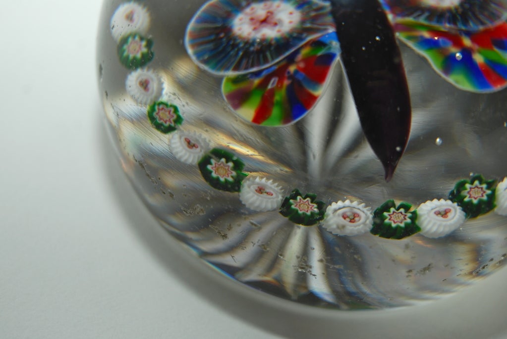 baccarat butterfly paperweight