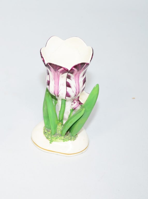 English Staffordshire Porcelain Tulip