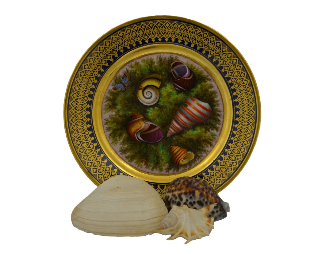 Plate is decorated with five seashells and one blue butterfly resting on ferns. Gold gilt edging on dark blue background. Stamp on back reads ‘Darte Palais Royal No. 21’.

Ex. Collection of Lily and Edmond Safra.