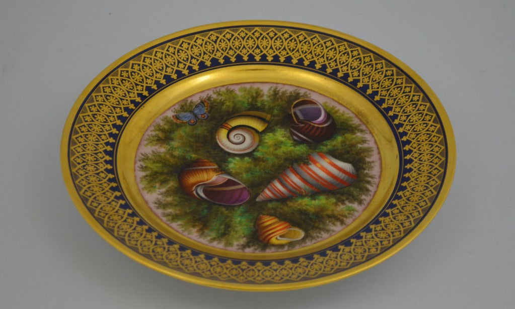 French Darte Paris Porcelain Conchology Plate For Sale