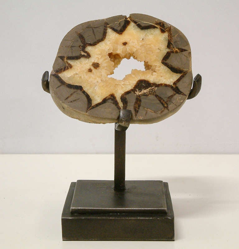 A beautiful Septarian geode from Madagascar mounted on a custom base designed and manufactured by Maurice Beane Studios.

Measurements:
Base 4.75
