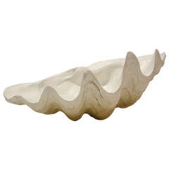 Large South Pacific Clam Shell, circa 1950