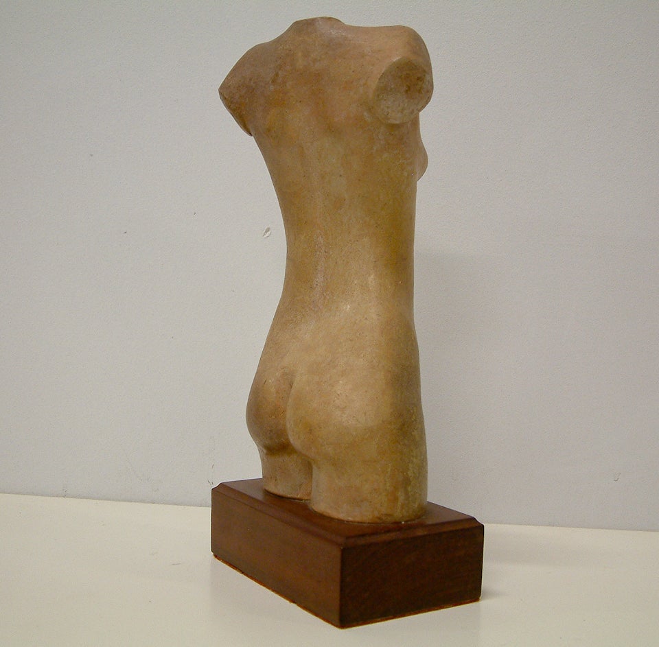 Female Nude Torso by Liyolilo