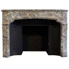 French Louis the 14th style marble fireplace - 19th century.