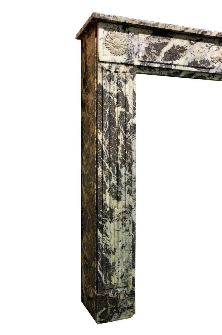 French Louis XVI Style Marble Fireplace, 19th Century