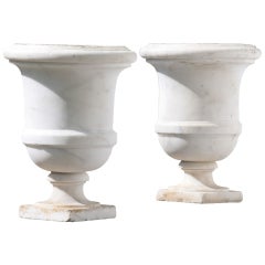 Pair of Medicis style white marble vases