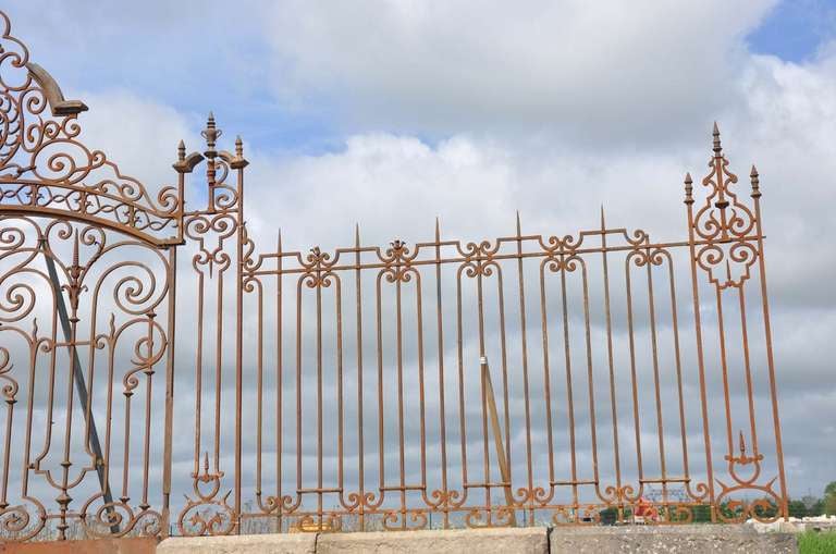 Louis XIV Entrance Wrought Iron Grille Dated 19th Century