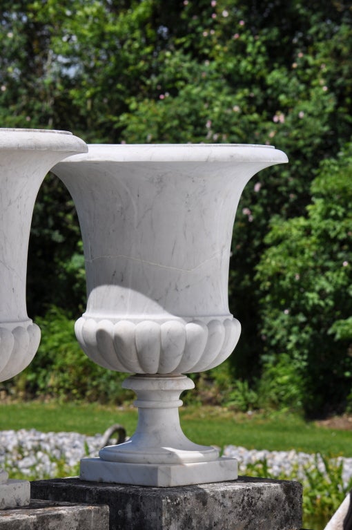 French Pair of White Marble Medicis Style Vases