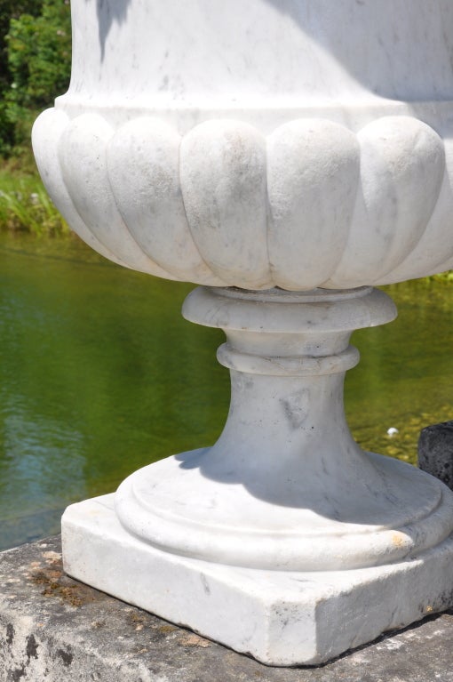 Pair of White Marble Medicis Style Vases 1