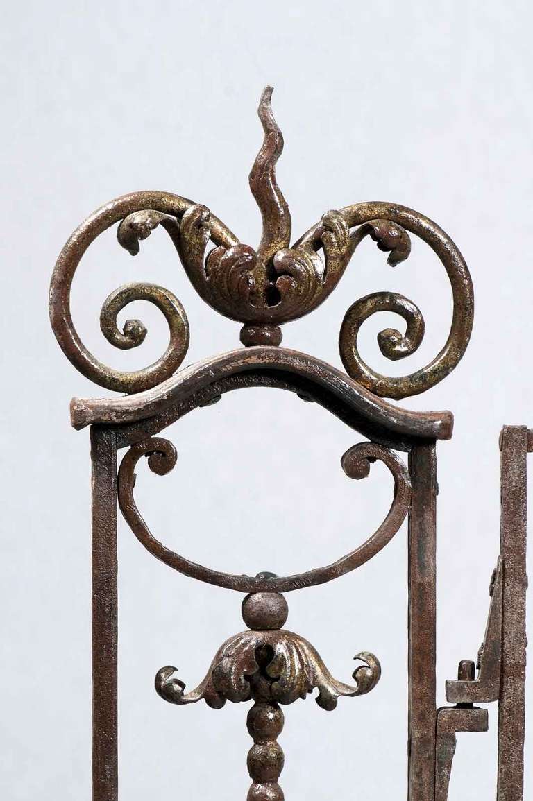 French Louis XV Style Wrought Iron Gate, 19th Century 2