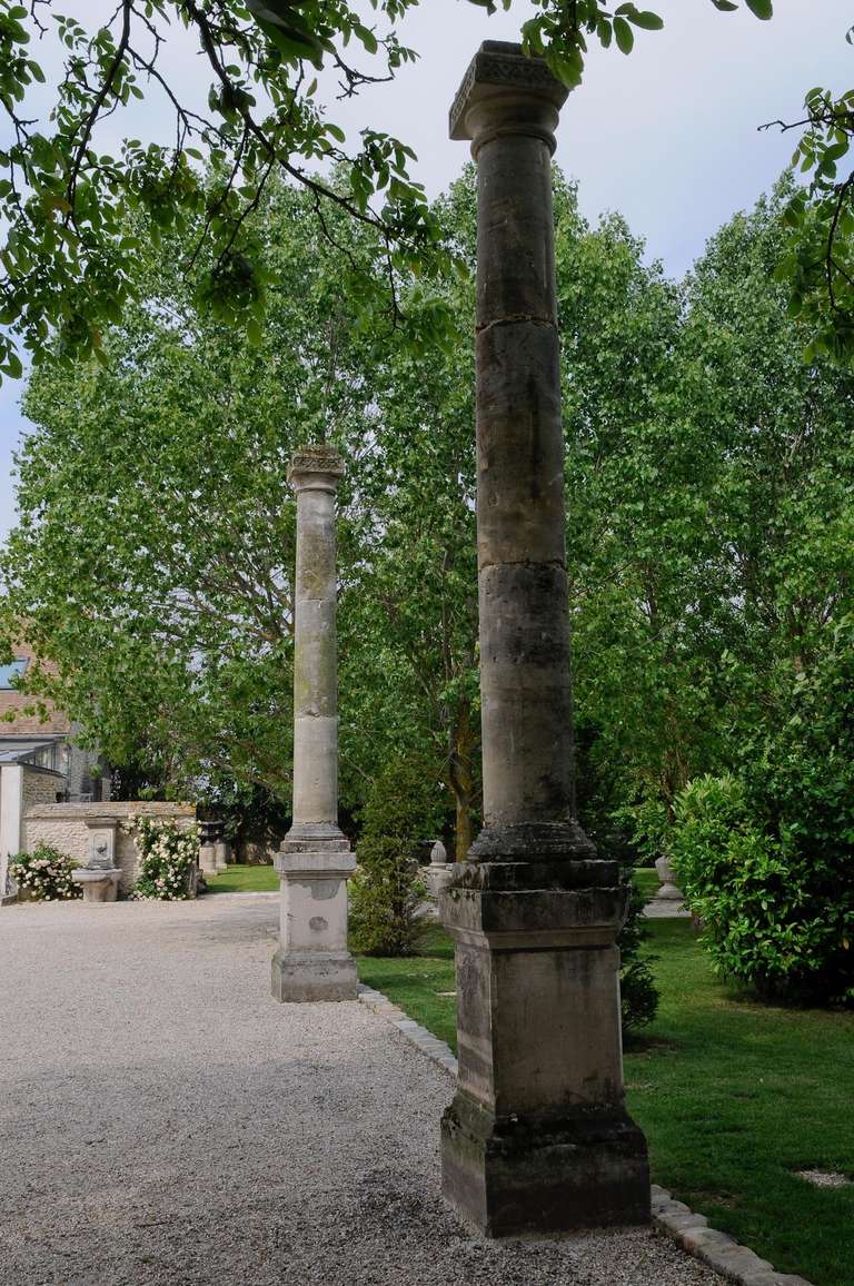 Pair of Important Stone Columns with Their Pedestals, 19th Century For Sale 1