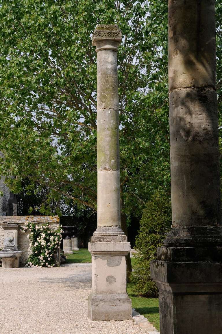 Pair of Important Stone Columns with Their Pedestals, 19th Century For Sale 2