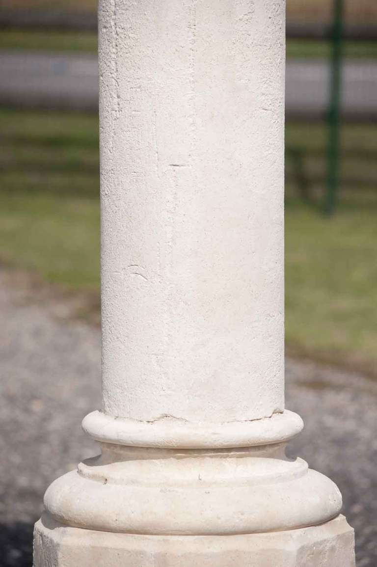 Pair of stone columns - 19th Century For Sale 2