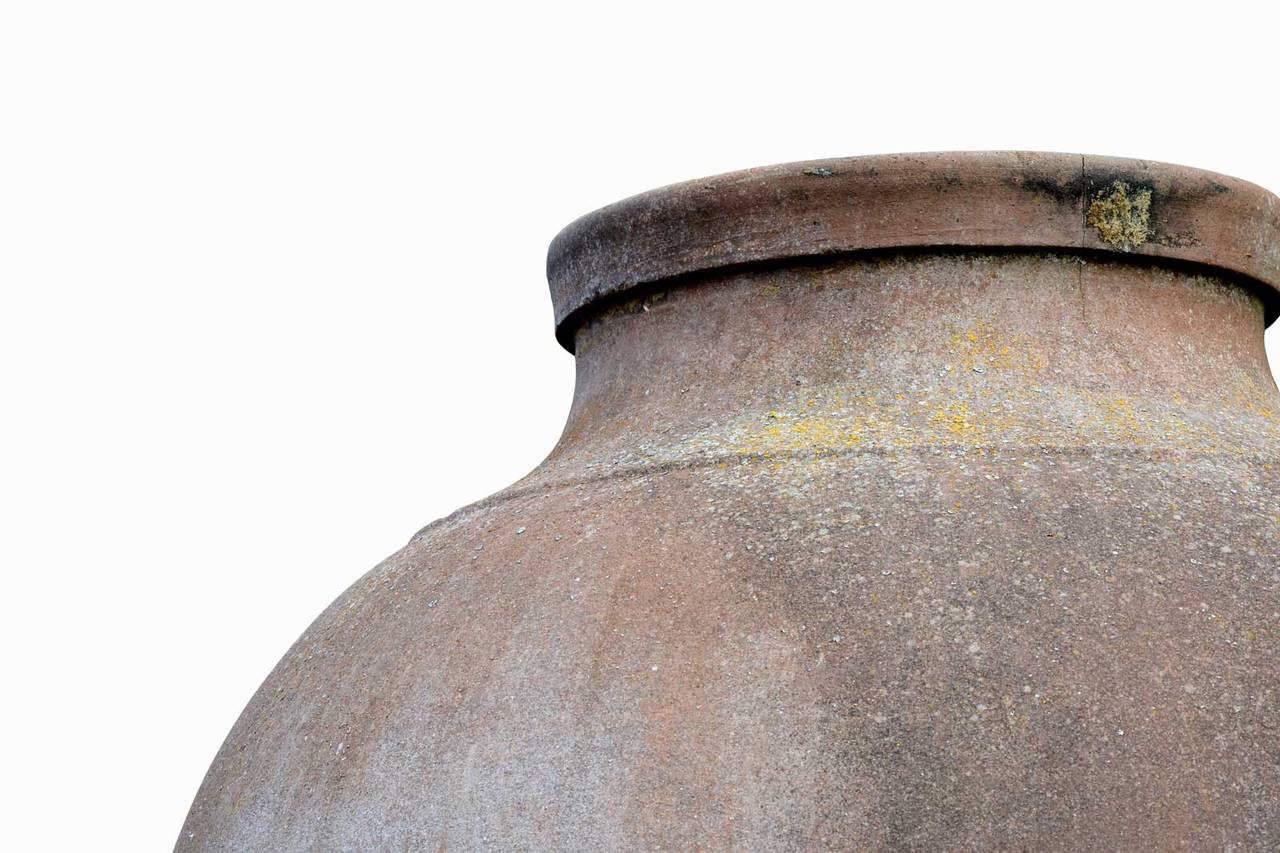 An important terracotta olive oil jar dated 19th century. Origin: Fatima area. Orifice diameter: 20 in., base diameter: 14 in.