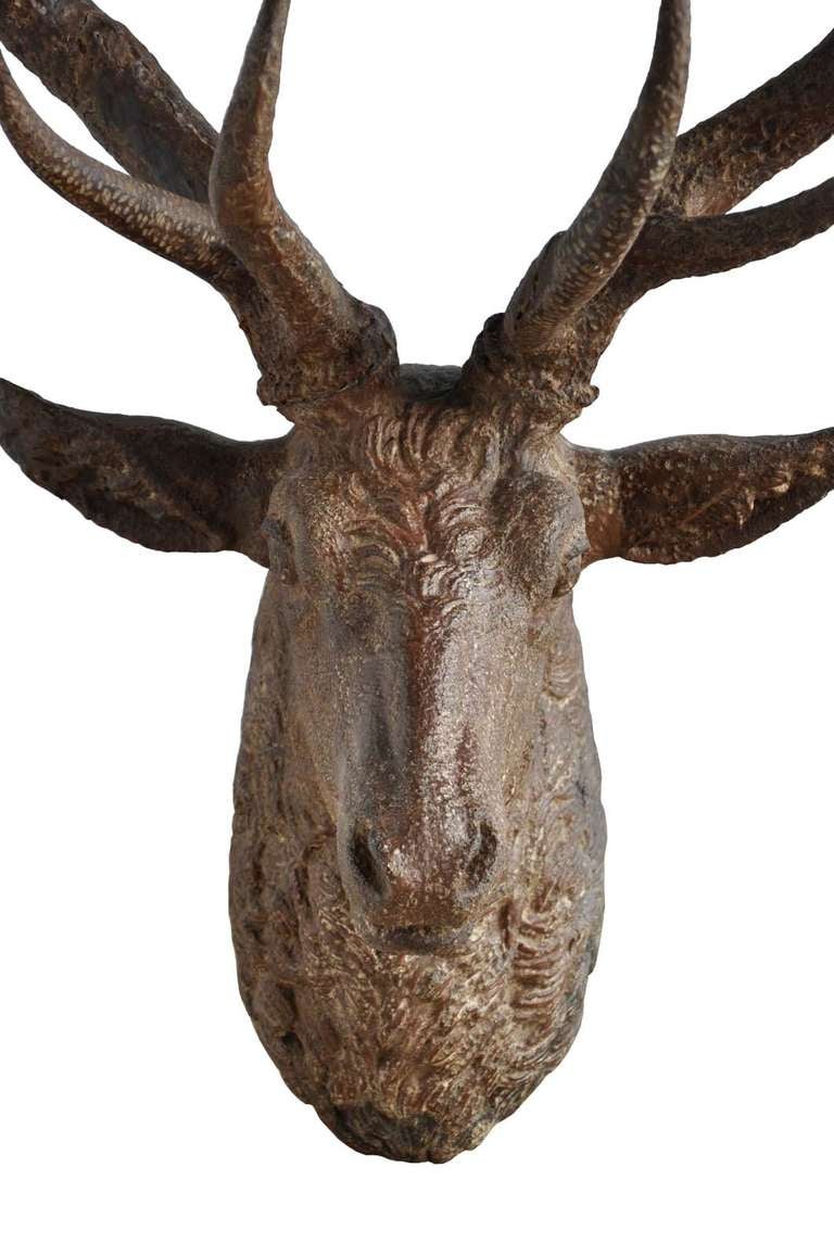 French Cast iron deer head - Late 19th century