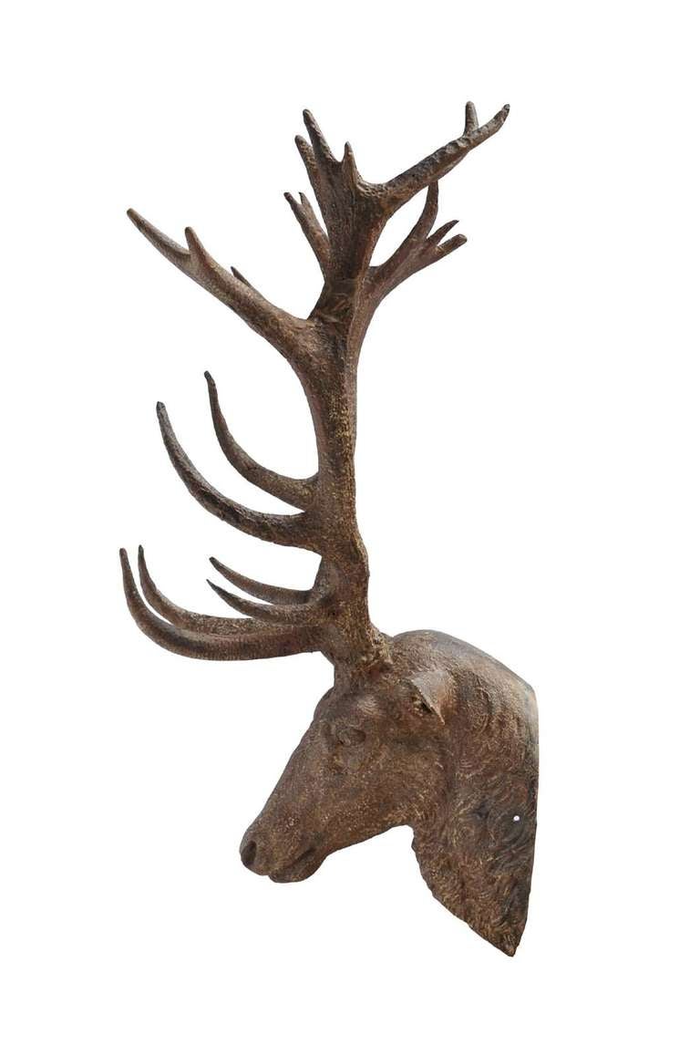 Cast iron deer head - Late 19th century 2