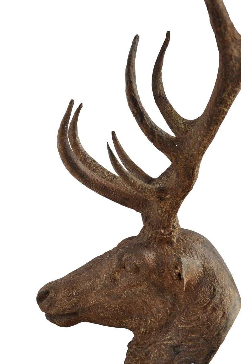 Cast iron deer head - Late 19th century 3