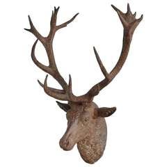 Cast iron deer head - Late 19th century