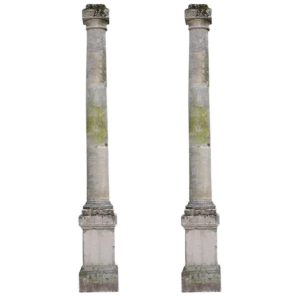 Pair of Important Stone Columns with Their Pedestals, 19th Century For Sale