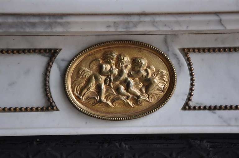 French Louis XVI Marble and Gilded Bronze Fireplace - 19th Century 2