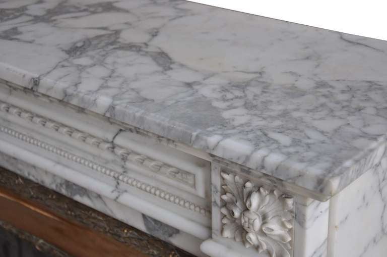 French Louis XVI Style Marble and Brass Fireplace - 19th Century 5