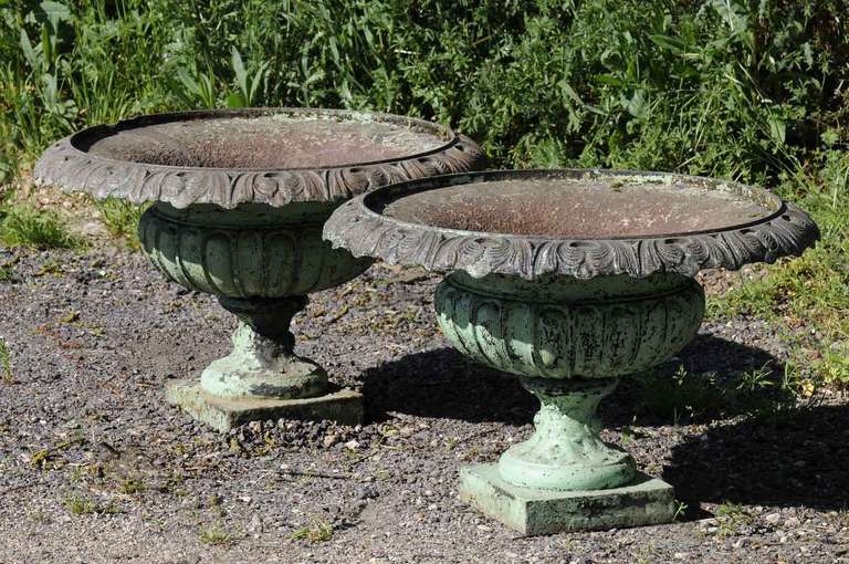 French Pair of cast iron vases - Late 19th century