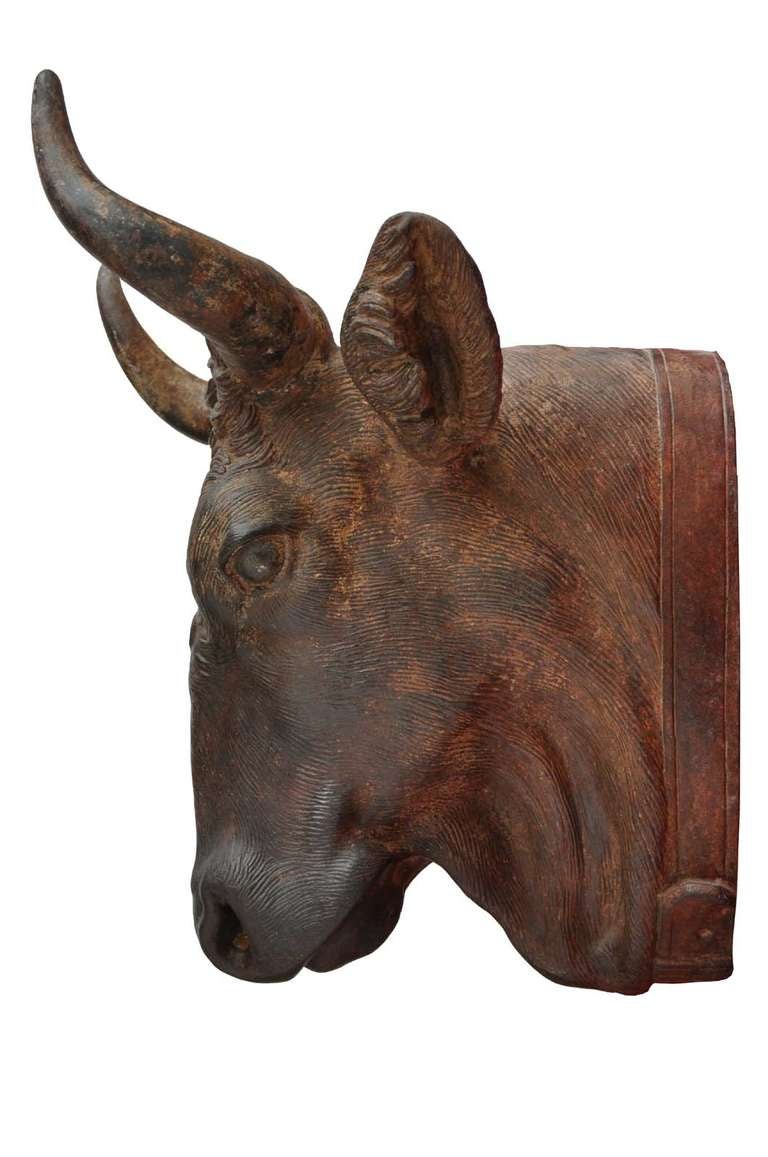 Cast iron Salers cow head dated 19th century. By J. J. Ducel foundry in Paris. # E6191