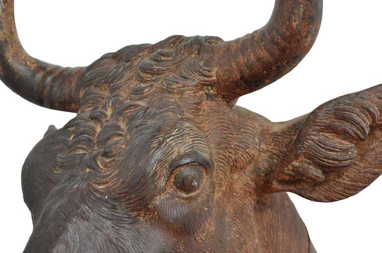 Cast Iron Salers Cow Head - 19th Century In Excellent Condition In Richebourg, Yvelines