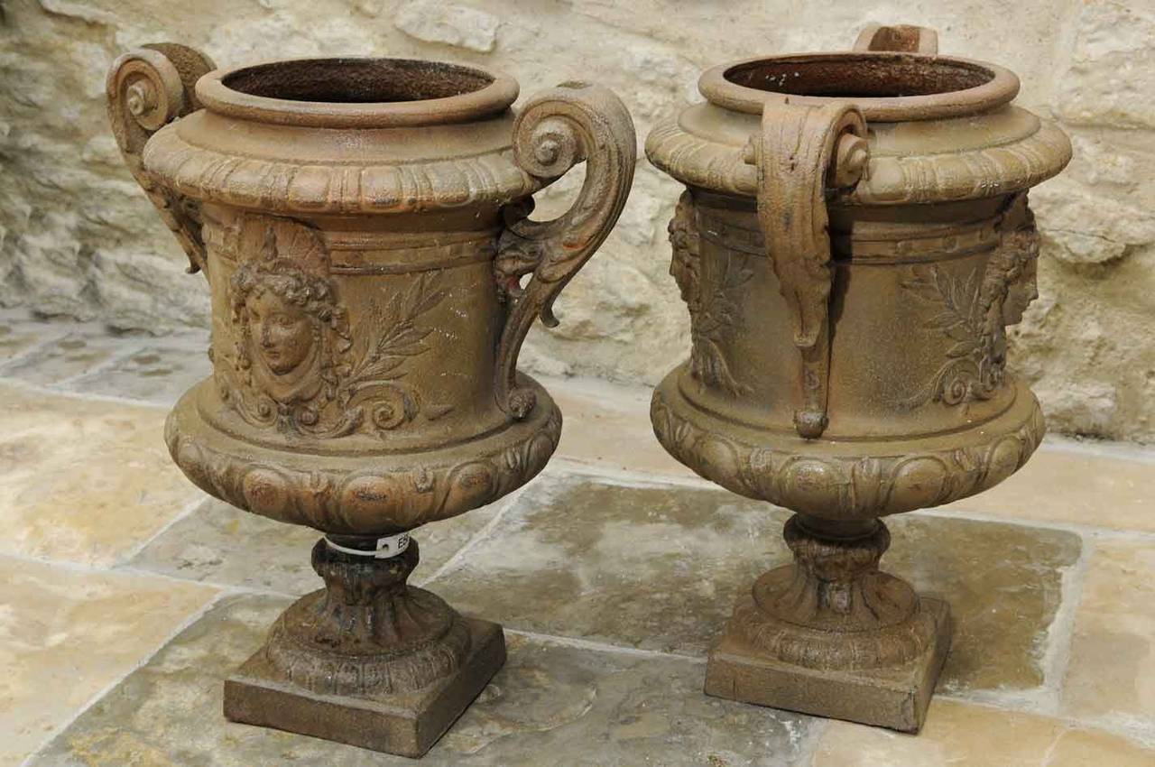 Pair of cast iron vases - Late 19th Century. 2