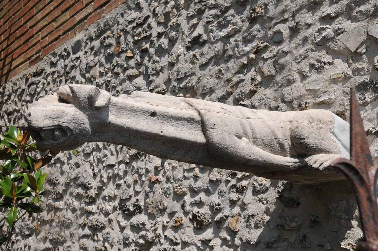 An important French Gothic period stone dog gargoyle - Probably 15th Century. Restored. # E5788.