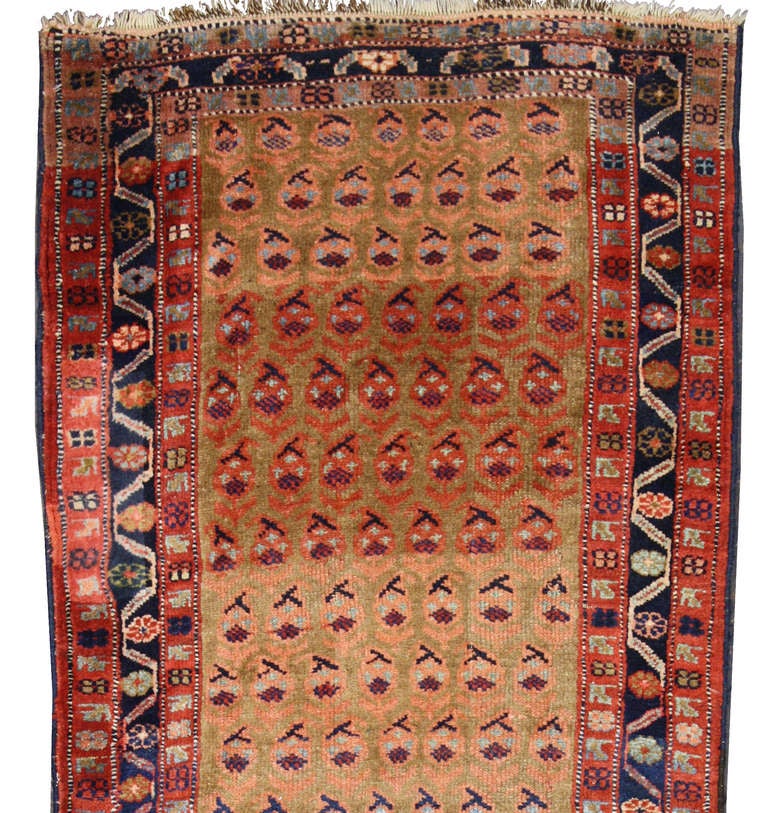 Late 19th Century Antique Persian Kurd Carpet Runner, Long Persian Runner 1