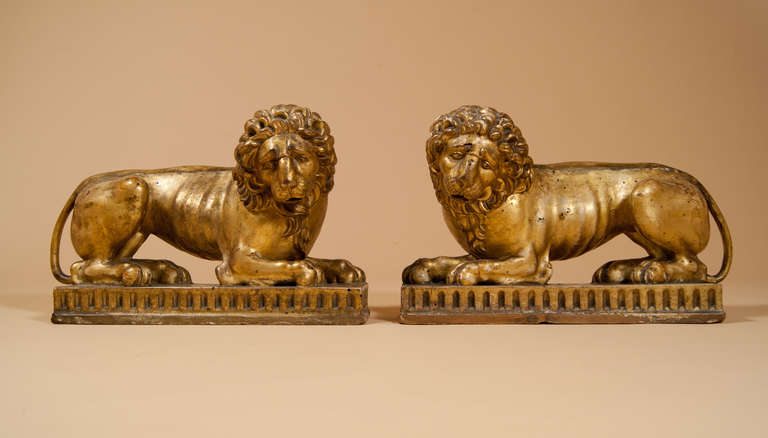 A PAIR of Carved and Gilt-wood lions, each supported on a plinth base carved with fluting. Their faces are CHARMING!

Continental - possibly Venetian (Where they were acquired) and we are sure they originally surmounted a picture or mirror frame,