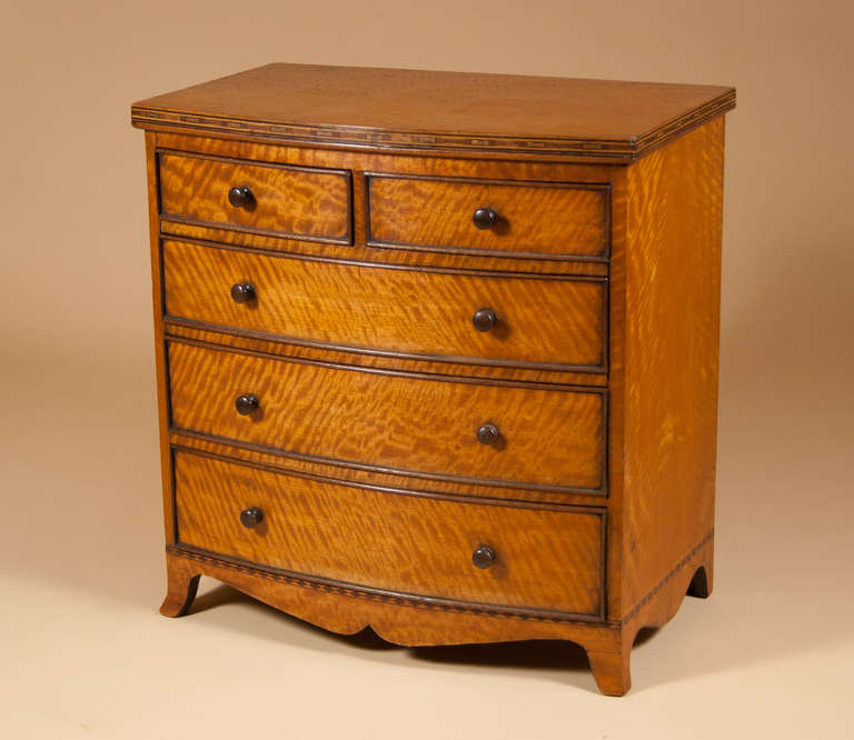 Miniature Satinwood Chest