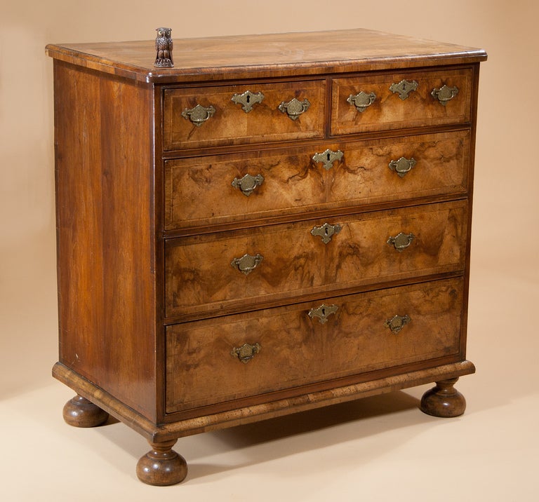 William III Walnut Chest of Drawers For Sale 1