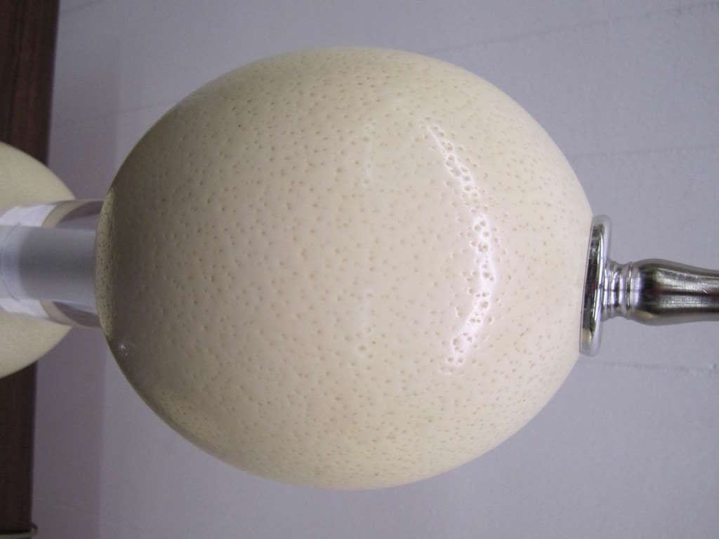 Mid-Century Modern Magnifique paire de lampes modernes mi-siècle moderne en lucite avec œuf d'autruche en vente