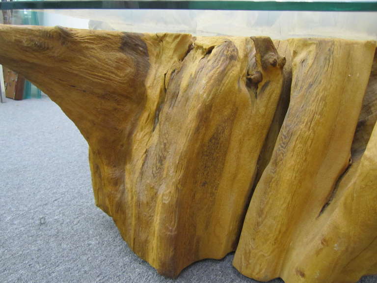 Stile Adirondack Magnifico tavolo con radice d'albero in stile Michael Taylor, metà del secolo scorso. in vendita