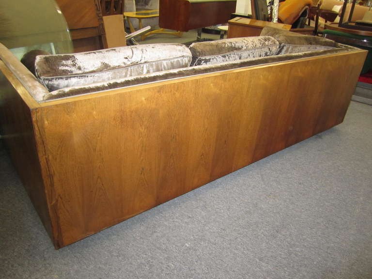 Amazing Milo Baughman, Rosewood Floating Case Sofa, Mid-Century Modern In Good Condition In Pemberton, NJ