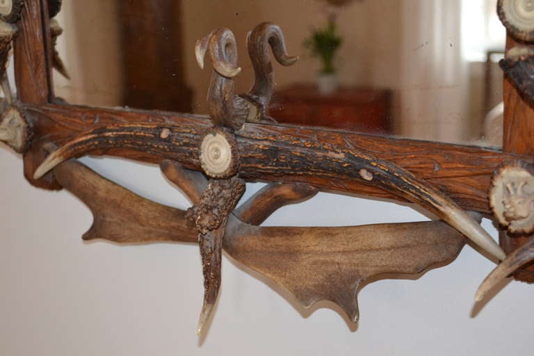 English Antler Mirror In Excellent Condition In Haddonfield, NJ