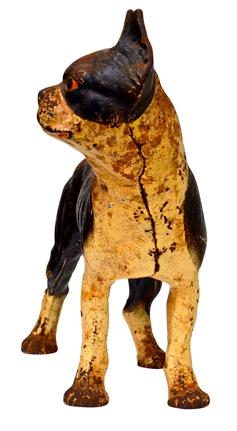 Cast Iron Boston Terrier