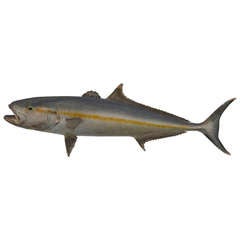 Vintage Decorative Wall-mounteable White Marlin, 1960's