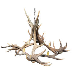 Vintage Antler Chandelier