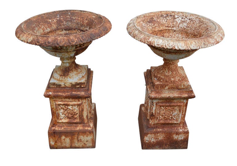 Pair of Large Tazza Garden Urns of Iron on Bases, 19th C