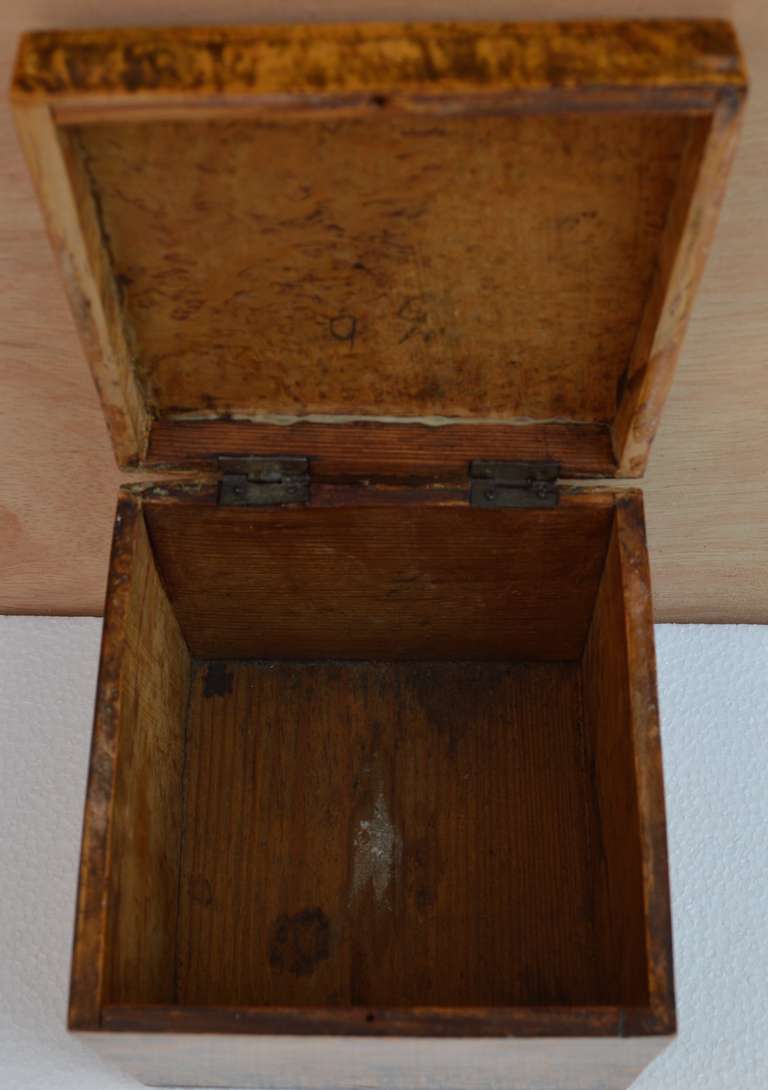 19th C Swedish Birch Wood Box 6